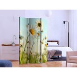 Artgeist PARAVAN 135/172/3 cm zelena, pastelno modra Slike