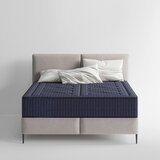 Livetastic VZMETNICA BOXSPRING Harmony H3 100/200 cm Cene