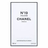 Chanel No.19 Poudré parfumirana voda za ženske 100 ml | Shoptok.si