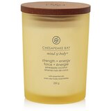 Chesapeake Bay Candle Mind & Body Strength & Energy mirisna svijeća 250 g | shoptok.hr