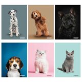 STREET Zvezek Friends A4 črte z robom | Shoptok.si