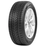 Davanti Wintoura SUV ( 315/35 R20 110V XL )