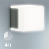 Steinel 055516 - LED spoljašnje svetlo sa senzorom L 835 LED/9,5W/230V IP44 | Eponuda.com
