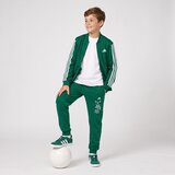 Adidas Športne jope in jakne - Zelena | Shoptok.si