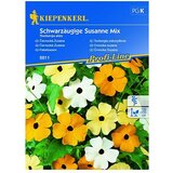 KIEPENKERL Sjeme cvijeća Crnooka suzana Mix (Thunbergia alata, Raznobojno) | shoptok.hr