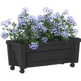 Calypso saksija s kotačima Antracit 79 x 35 x 33 cm PP | shoptok.hr