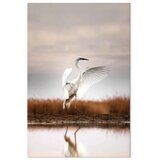  Slika - Autumn by the Lake (1 Part) Vertical 40x60 Premium Print | shoptok.hr
