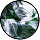 Pintdecor Zidni ukras Trasparenza di foglie | shoptok.hr