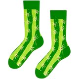 Frogies Čarape Cactus Cijene