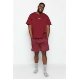 Trendyol Plus Size Pajama Set - Burgundy - Striped Cene