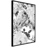  Poster - Black and White Nature 40x60 Cijene