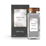 Coswell S.p.A. Gandini Muška toaletna voda Black Oud, EDT, 100 ml Cene
