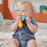 Fisher Price ropotuljica vidra (HKD69), (21382008) Cene