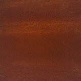  Privatnost u vrtu Rezbarija Rđa 50 x 140 cm Otporni čelik - Otporni čelik Okruglo 50 x 140 cm | shoptok.hr