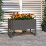 vidaXL Visoka greda siva 78x40x52 cm trdna borovina | Shoptok.si