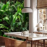  Foto tapeta - Freshness of the Jungle 500x350 | shoptok.hr