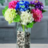  HORTENZIJA 32CM SORTO 44823 STAR Cijene