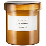 Blomus Mirisna svijeća od sojinog voska vrijeme gorenja 45 h Valoa Autumn – | shoptok.hr