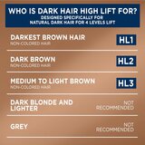 Garnier Color Sensation barva za lase za posvetlitev las odtenek HL1 Black Hair 1 kos | Shoptok.si