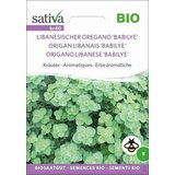 Sativa Bio zelišče "Libanesischer Oregano 'Babilye'" | Shoptok.si