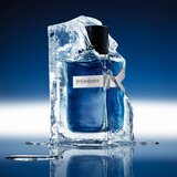 Yves Saint Laurent Y Iced Cologne toaletna voda za moške 100 ml | Shoptok.si
