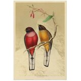  Plakat - Birds on a Branch 60x90 Bez okvira | shoptok.hr