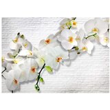  Tapeta - The Urban Orchid 200x140 | shoptok.hr