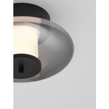 Nova Luce Mat črna steklena LED zatemnitvena stropna svetilka Ballet – | Shoptok.si