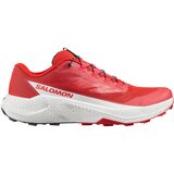 Salomon Pulsar patike Cene