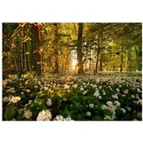  Tapeta - Forest flora 350x245 | shoptok.hr
