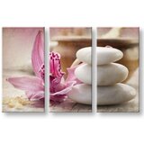  Slike na platnu feng shui (moderne slike na platnu) | ePonuda.com