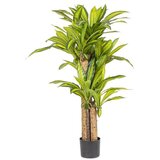  BILJKA DRAČENA 130CM ZELENA | Eponuda.ba