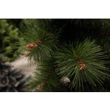 Novogodišnja jelka zeleni bor 400 cm (22534) | Eponuda.com