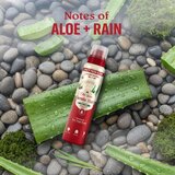 Old Spice Gentle Man's Aloe & Rain deodorant v pršilu brez vsebnosti aluminija 140 ml | Shoptok.si