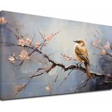  Slike ptice nijanse slobode | shoptok.hr