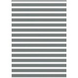 vidaXL Zebra senčilo temno sivo 155x200 cm tkanina širina 150,9 cm | Shoptok.si