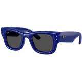 Ray-ban A$AP Rocky Collection RB4940 683387 L (50) Modra/Črna Cene