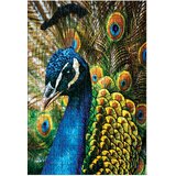 Puzzle 250 KOM COLORFUL NATURE 1 PEACOCK INTERDRUK | Shoptok.si