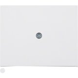 Berker Sredinska plošča pws 10057009, (20891310) | Shoptok.si