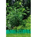 Vrtna obroba (zelena, 9 m x 15 cm)