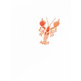 Iriedaily Majica 'FC Hummer' oranžna / bela | Shoptok.si