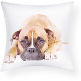 AVIZAR Komplet 2 prevlek za blazino 40x40 cm Boxer Dog Design, Bela, (21747253) | Shoptok.si