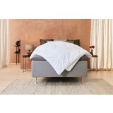 Olimp Sport Jorgan Palermo 200x220 | ePonuda.com