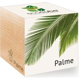 Feel Green ecocube "Exotics" - palma Cene