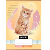 NEBULO bilježnica s uzorkom mačke, A/5, 27-32 | shoptok.hr