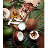 Garnier botanic therapy coco & macadamia hranjivi i njegujući šampon za regeneraciju kose 400 ml za žene | shoptok.hr