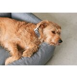 MiaCara Svijetlo sivi krevet za pse 71x91 cm Mare Sand M – | shoptok.hr