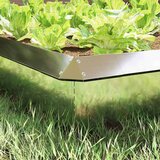 vidaXL Ograja za polže srebrna 13,5 x 13,5 x 25 cm Cinkana jeklena | Shoptok.si