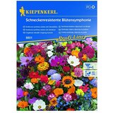 KIEPENKERL Sjeme cvijeća Simfonija cvijeća otpornog na puževe (Raznobojno, 2 m²) | shoptok.hr