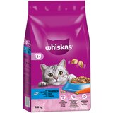 Whiskas Ekonomično pakiranje: 2 x 3,8 kg - Tunjevina | shoptok.hr